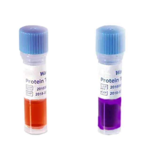 Surface Protein Residue Test Surface Protein Residue Test