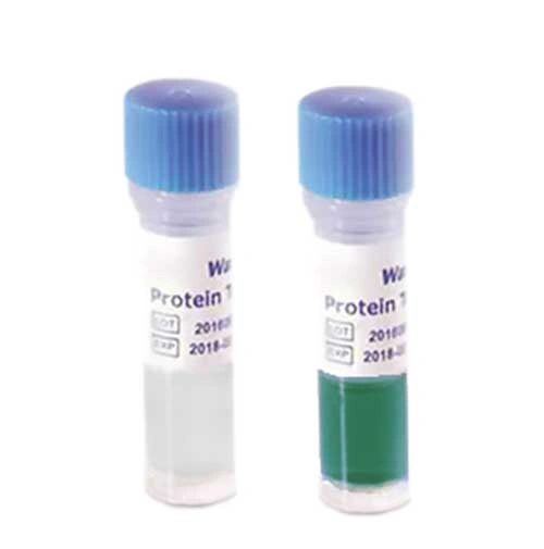 hemoglobine residue test hemoglobine residue test