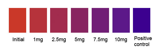 test for protein diagram
